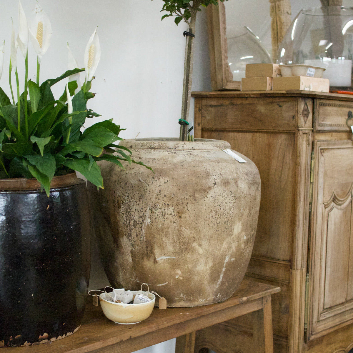 Terracotta Pot