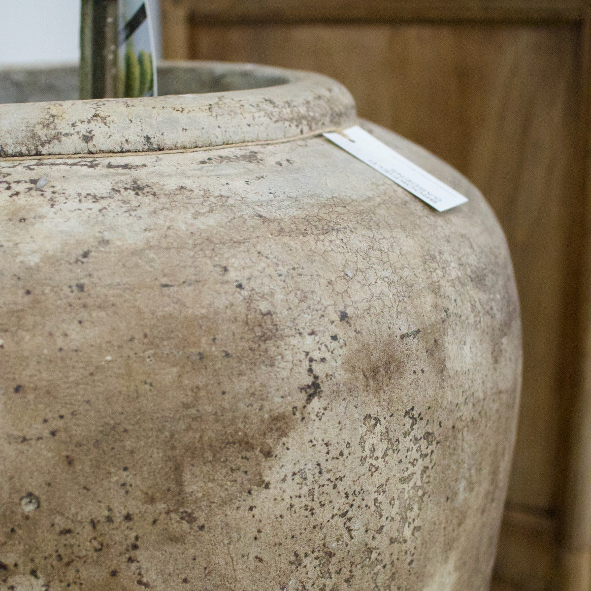 Terracotta Pot