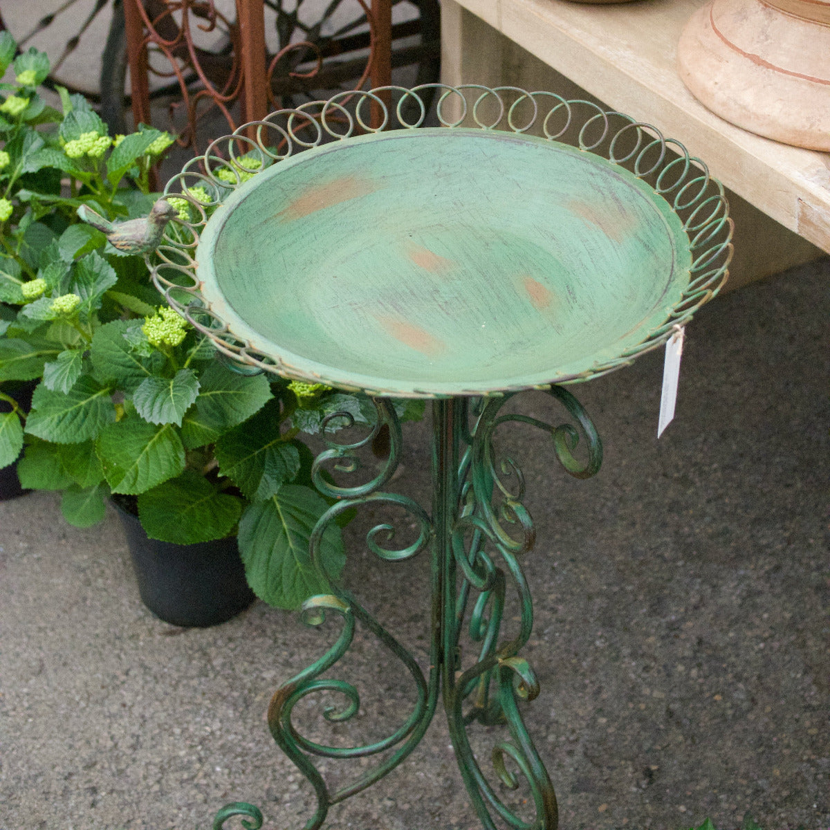 Florentine Bird Bath