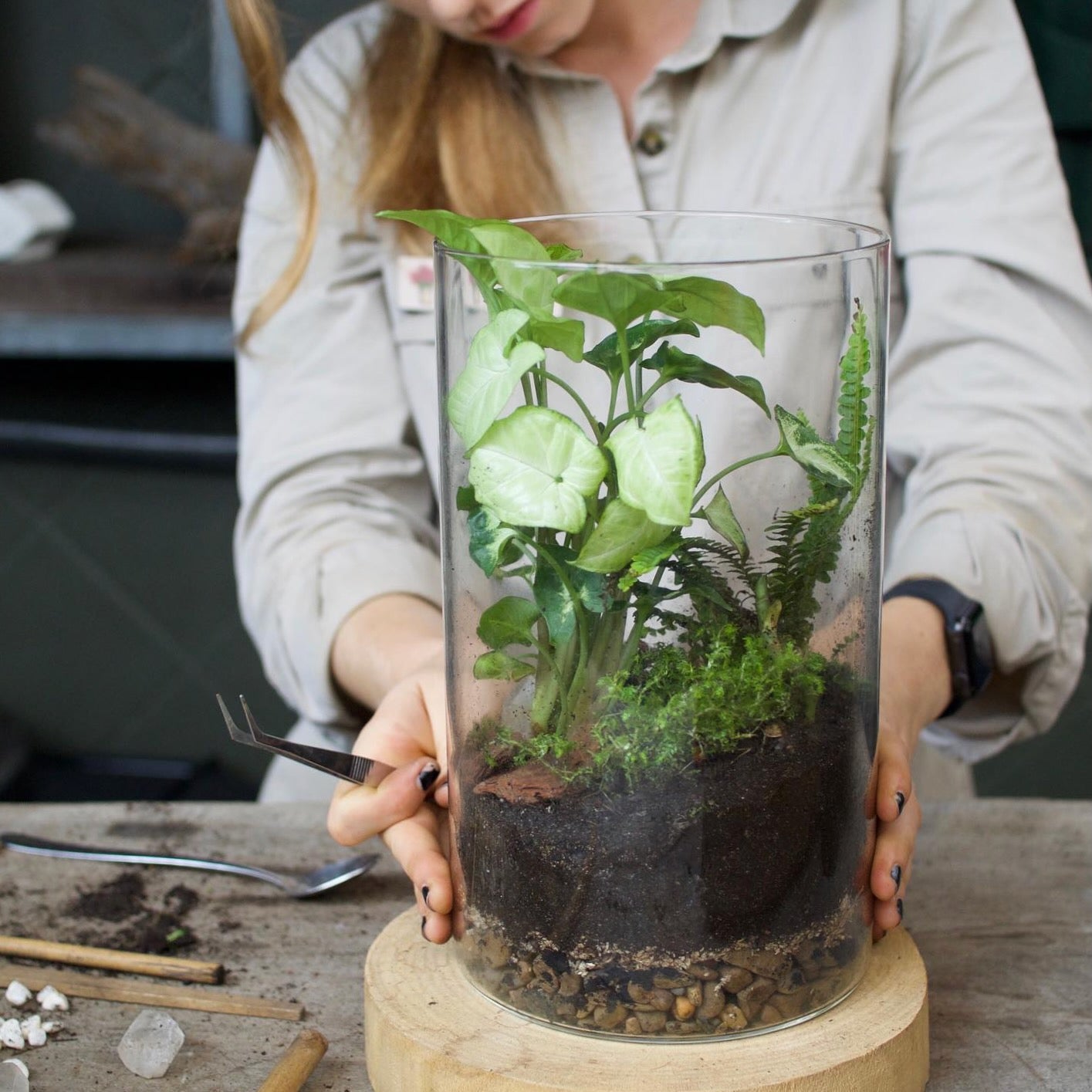 Build your own terrarium workshop