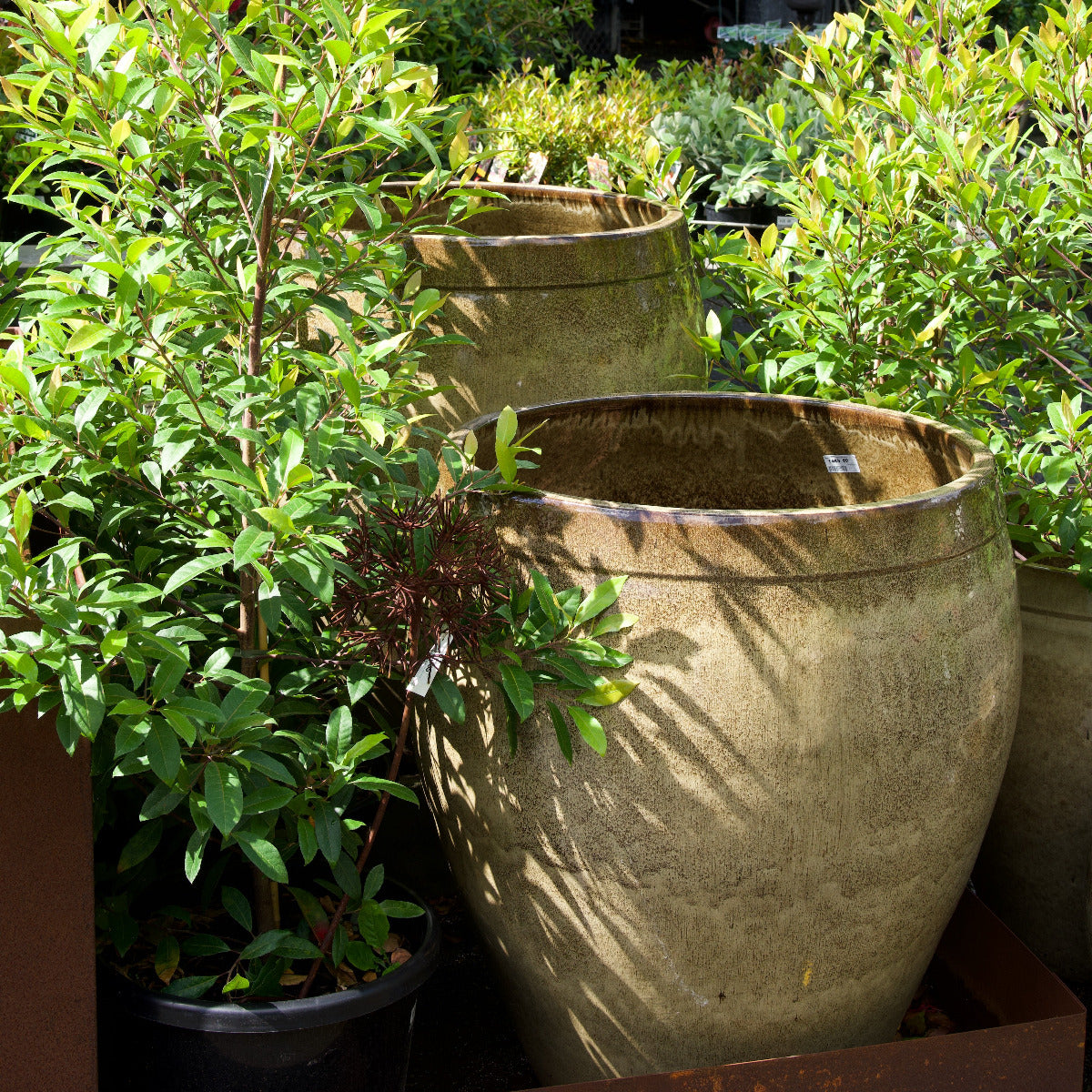 Regency Contempo Urn