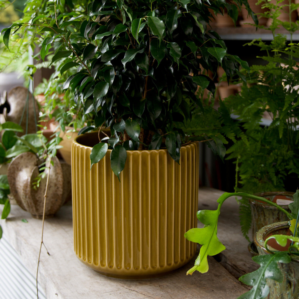 Olive Ribbed Cylinder Pot