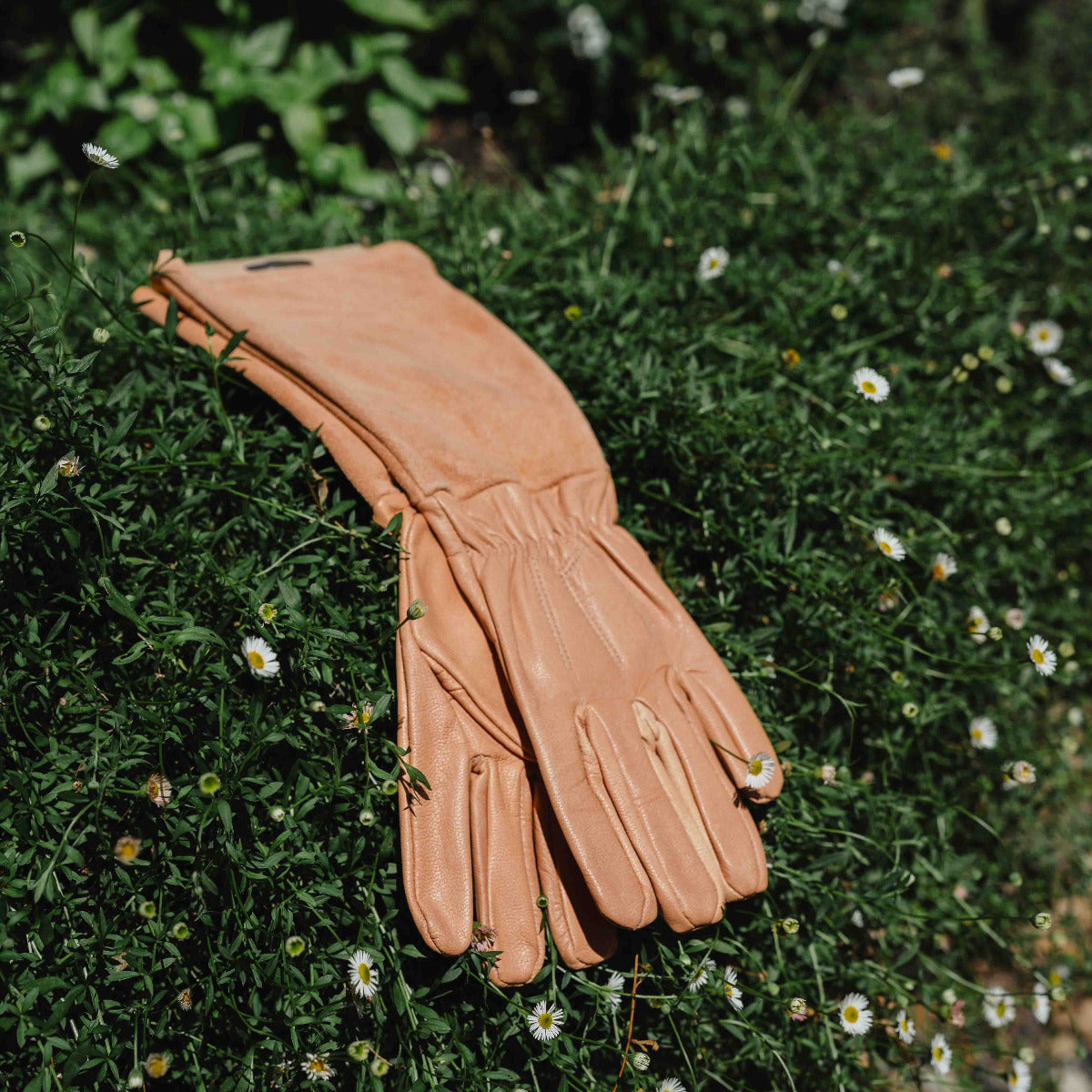 Pair of brown leather gloves on a grassy background with small white flowers.