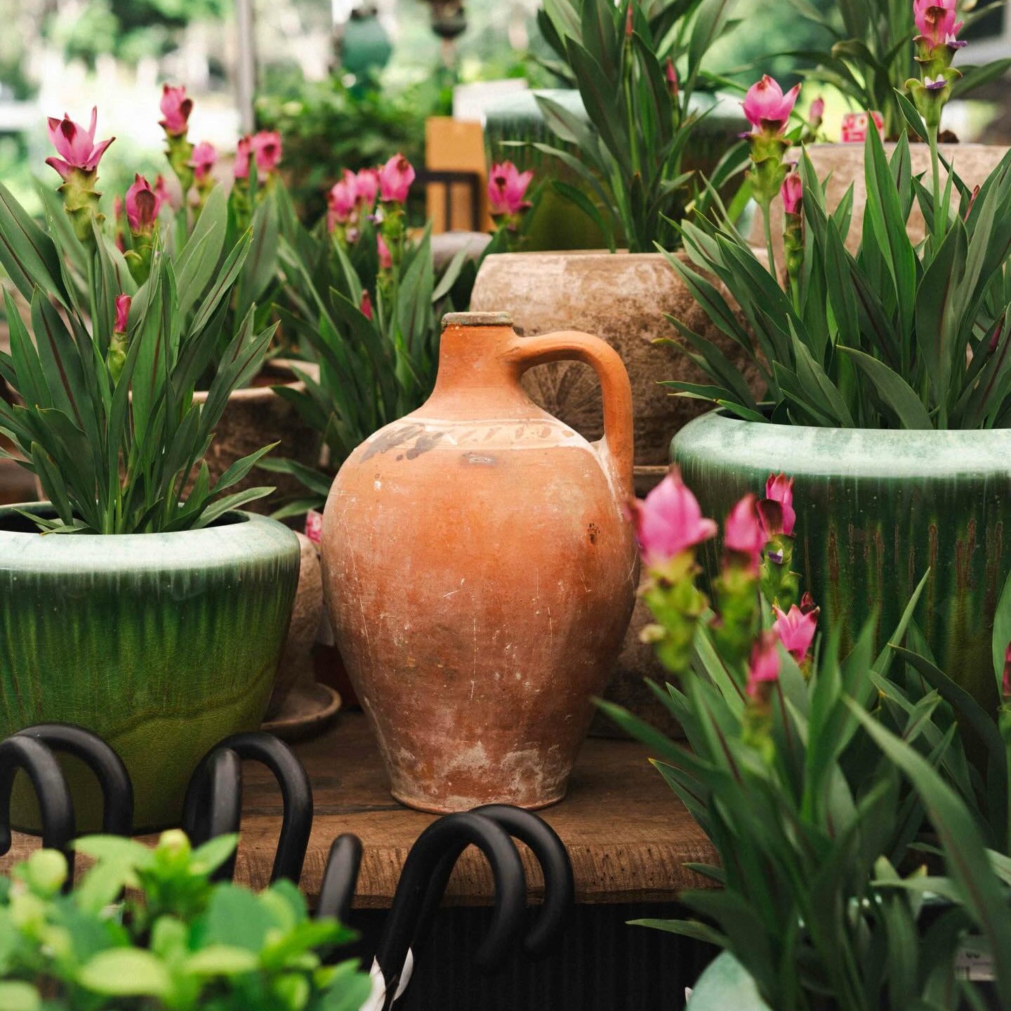 Terracotta vase among potted plants and flowers in a garden setting