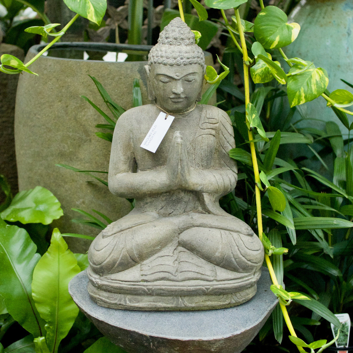 Sitting Buddha Praying