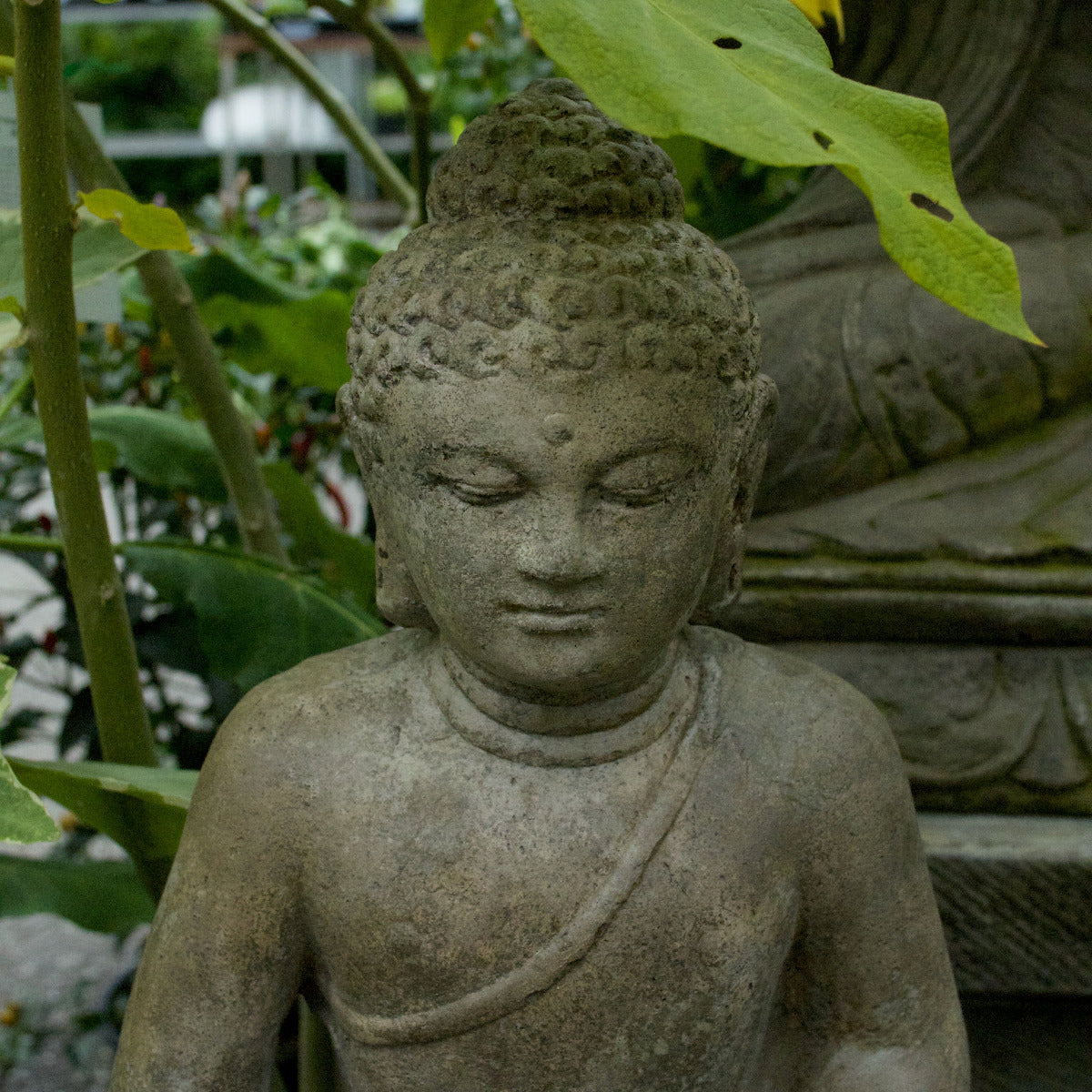 Sitting Buddha Meditation