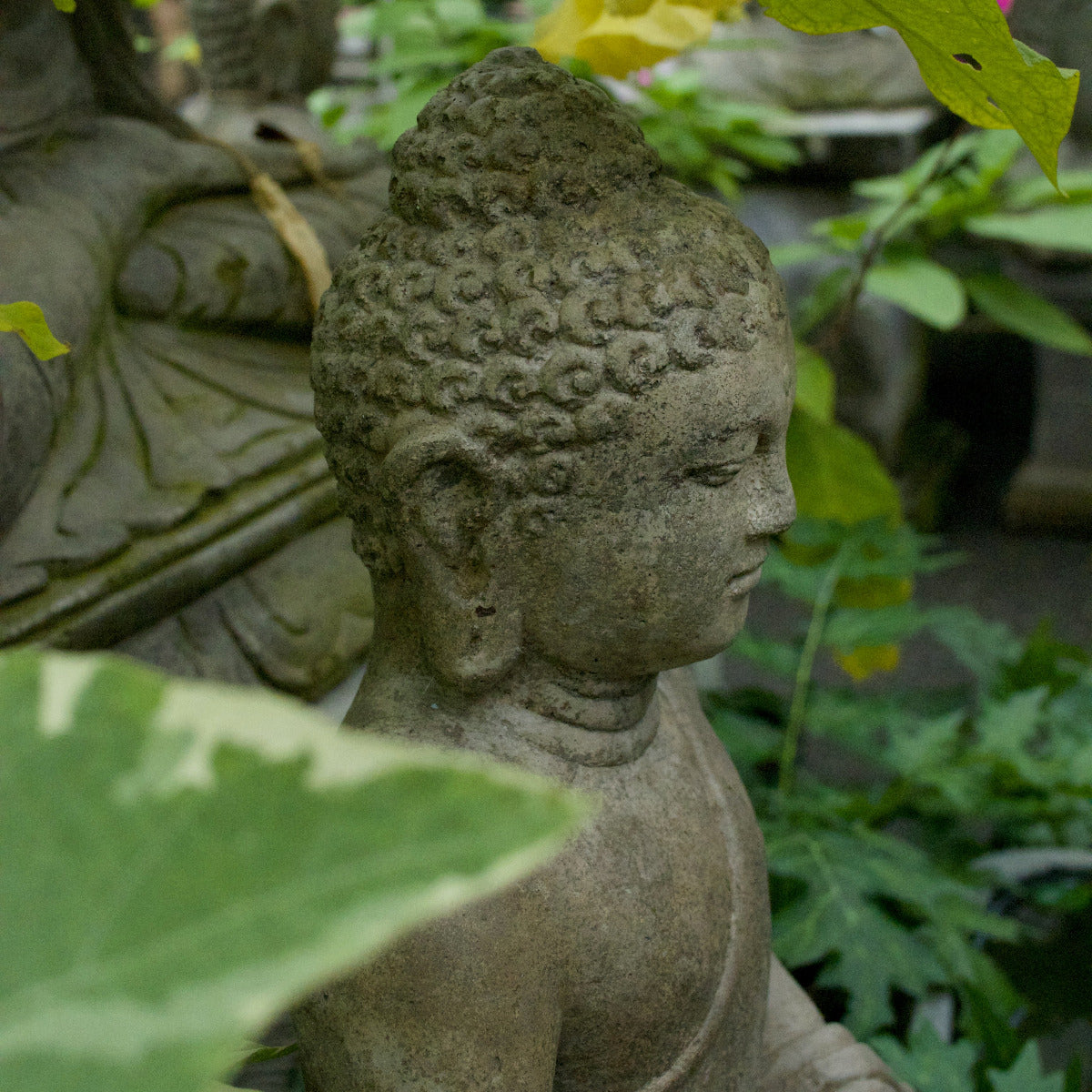 Sitting Buddha Meditation