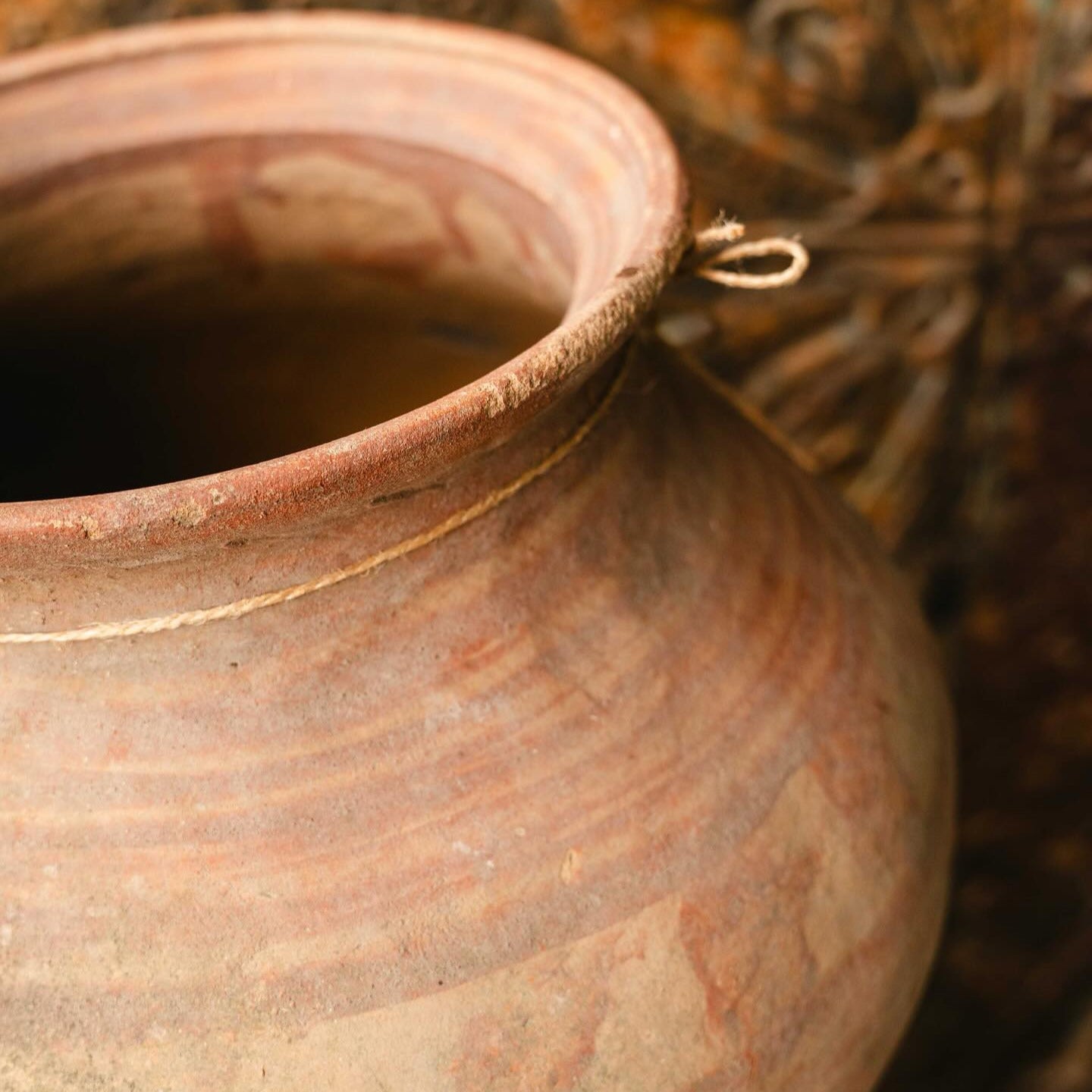 Terracotta Pot