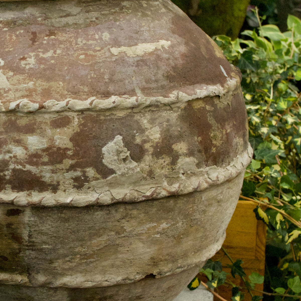 Terracotta Old Garden Pot