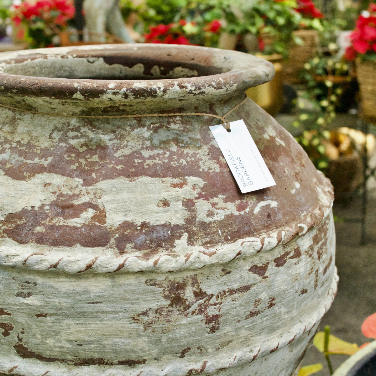 Terracotta Old Garden Pot