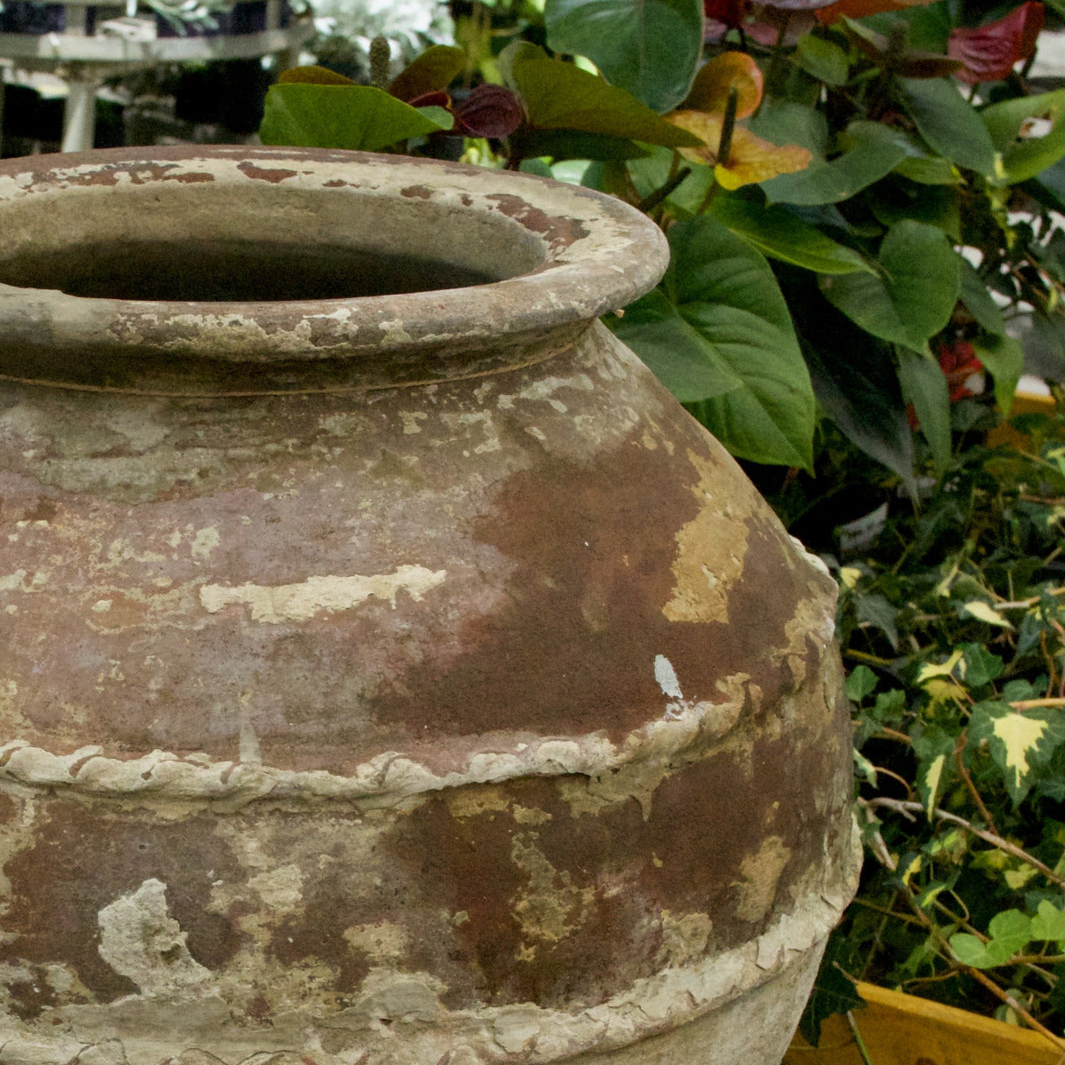 Terracotta Old Garden Pot