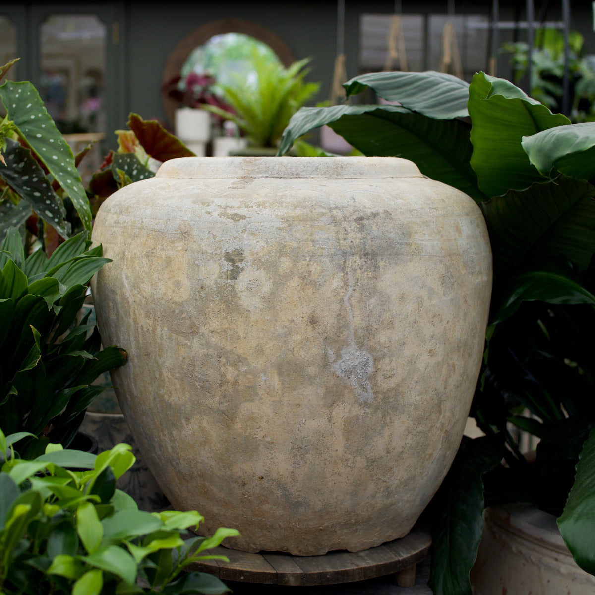 This large round terracotta pot brings timeless Mediterranean style to any garden or outdoor space. Its soft, weathered tones and classic rounded shape make it a beautiful complement to flowering shrubs, trees, or cascading plants.