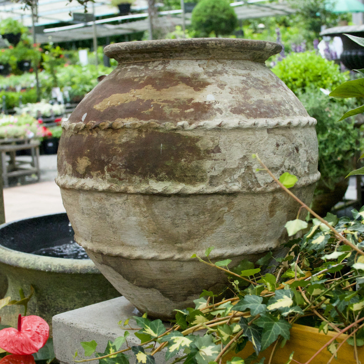 Terracotta Old Garden Pot