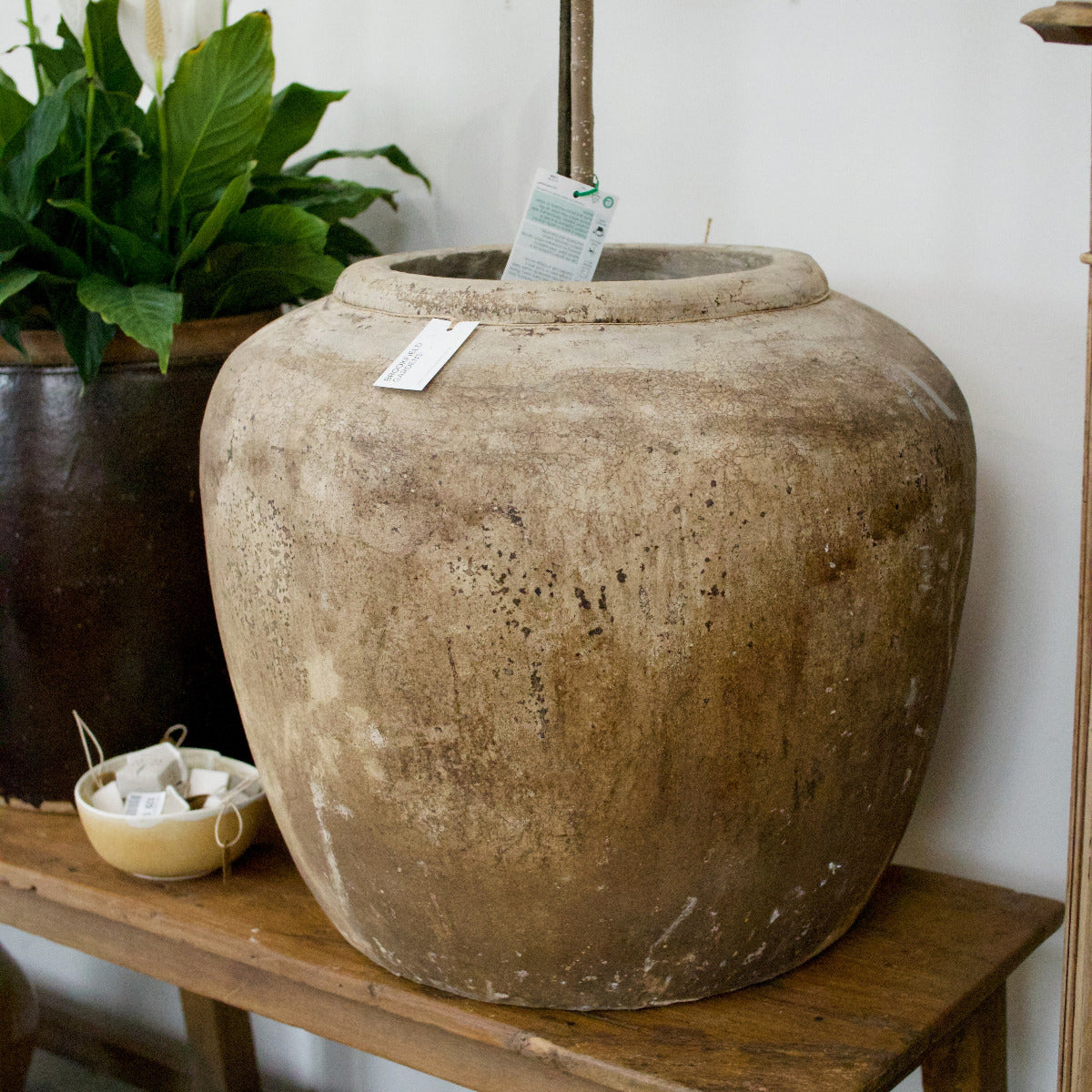 Terracotta Pot