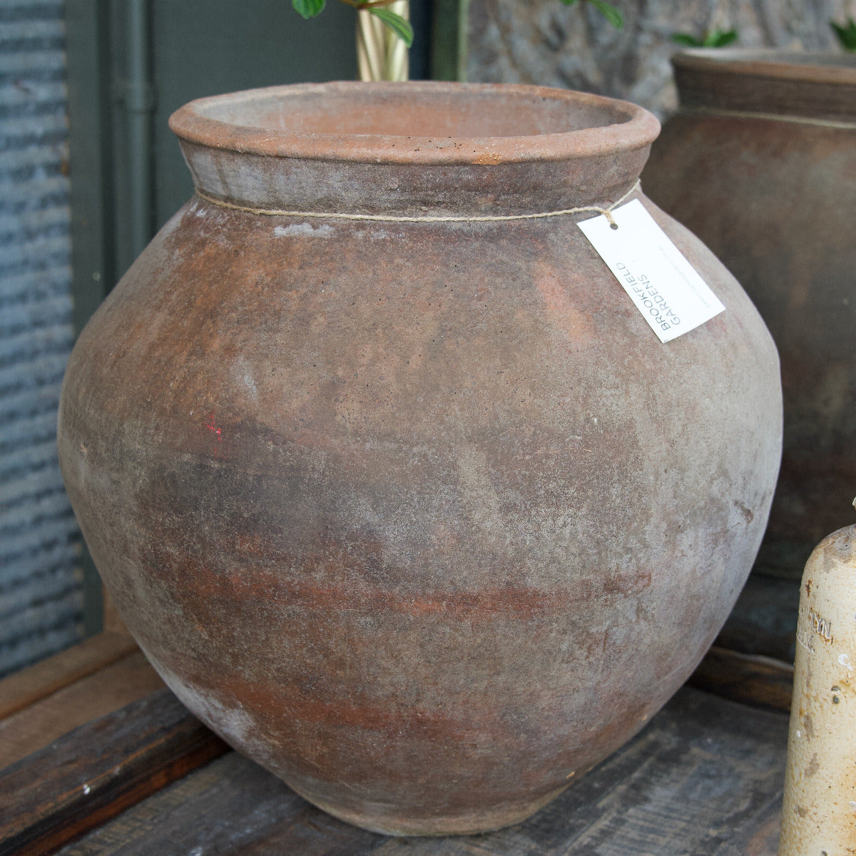 Terracotta Pot
