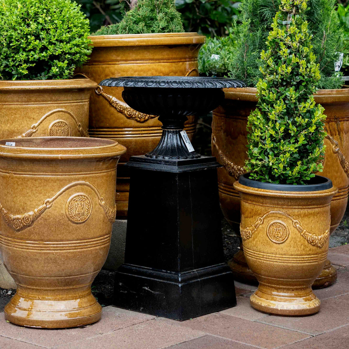 Victorian urn on pedestal in formal hedge garden, Brisbane garden style