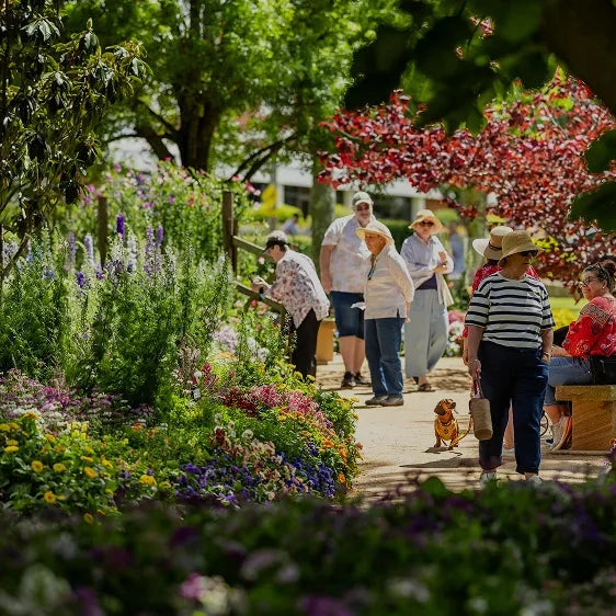 Toowoomba Spring Garden Tour 15th September