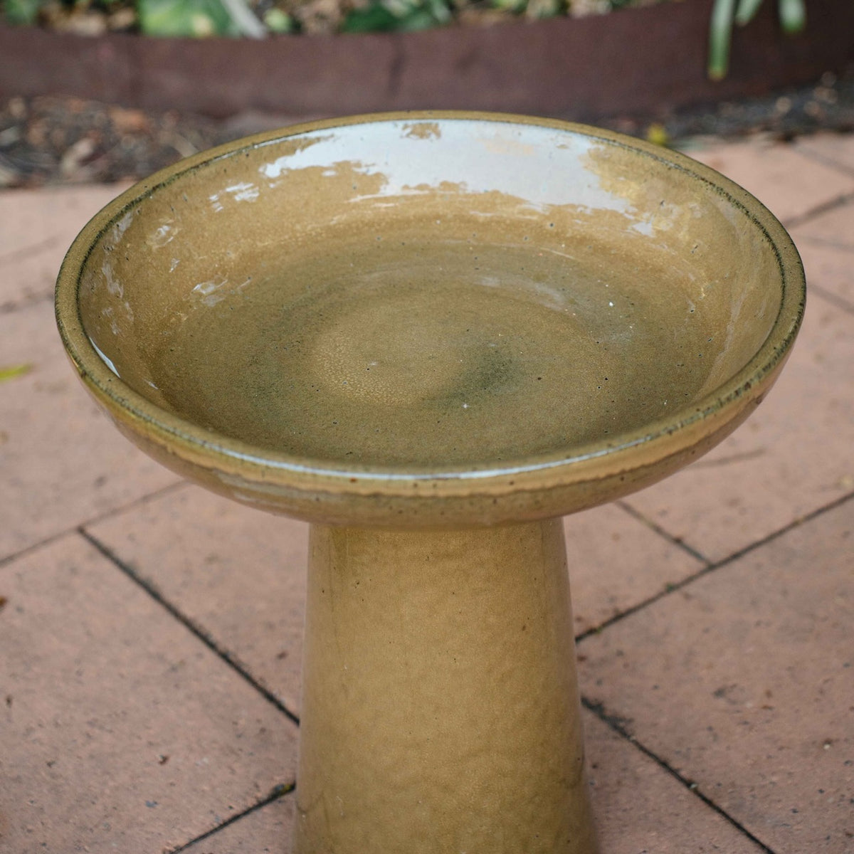 Wren Bird Bath in Almond glaze with rounded bowl and pedestal base in a lush garden setting.