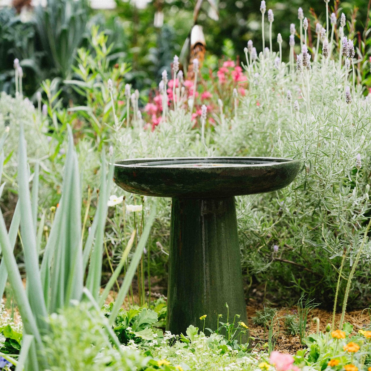 Wren Bird Bath in Jade Green glaze with rounded bowl and pedestal base in a lush garden setting.
