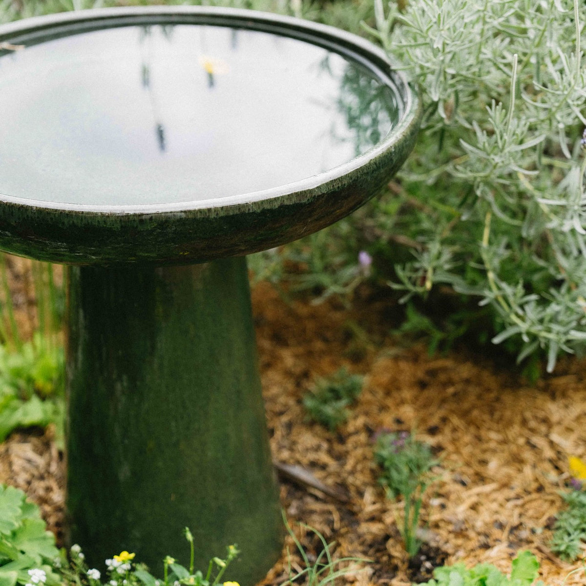 A dark green stone bird bath with a round basin, set in a garden bed surrounded by mulch and green plants.