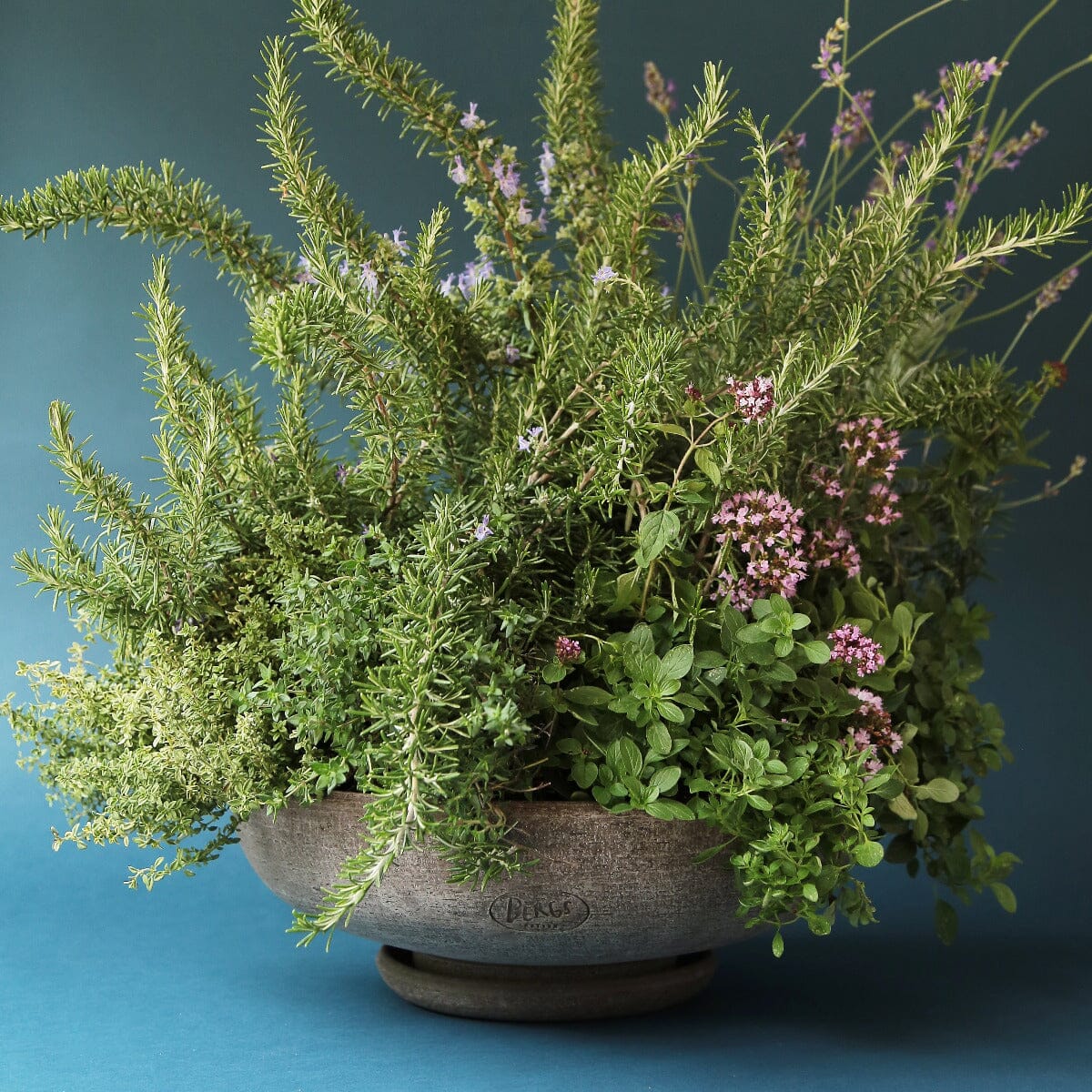 Ada Grey Bowl and Saucer Set Pots - Berg Berg 