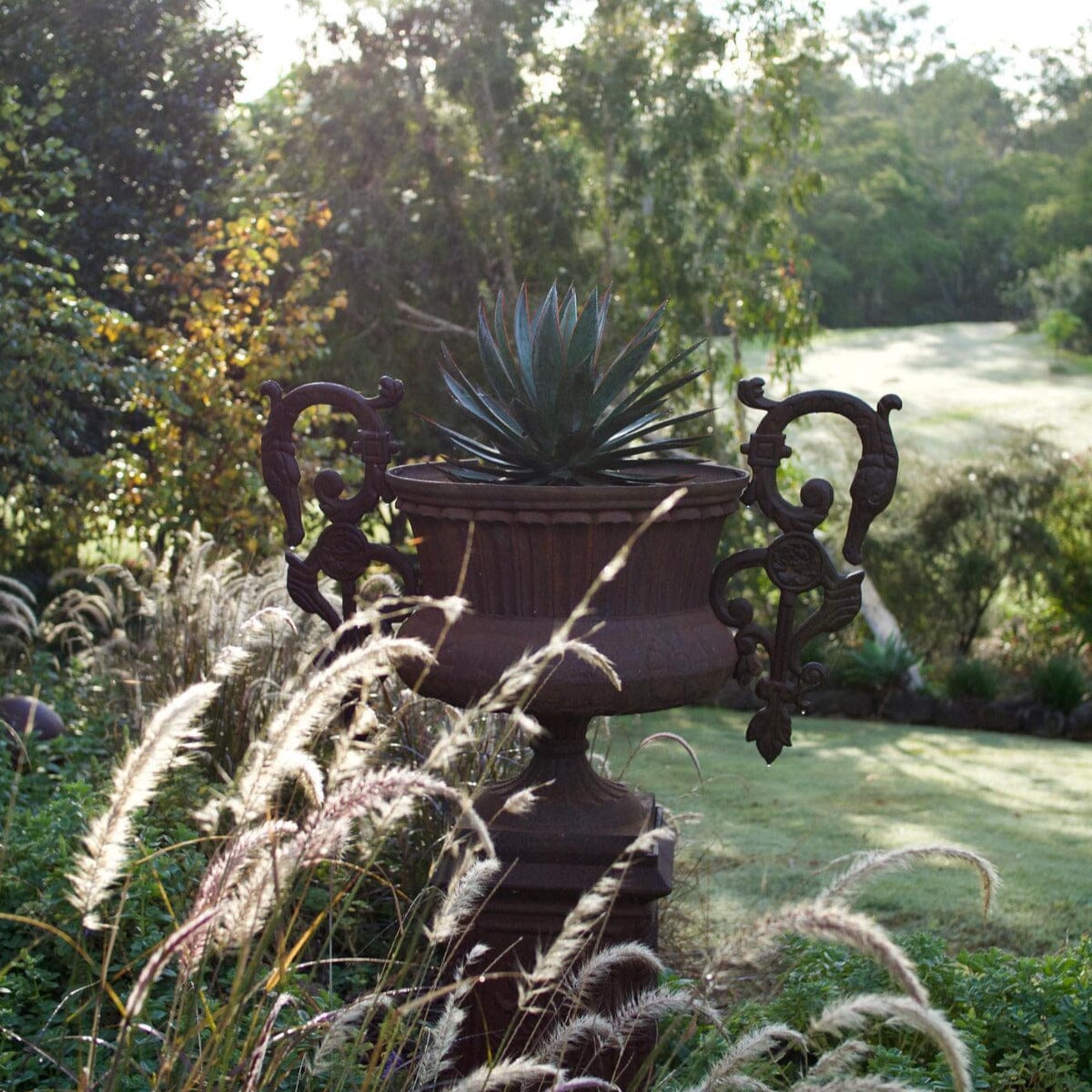 Agave Brookfield Gardens 