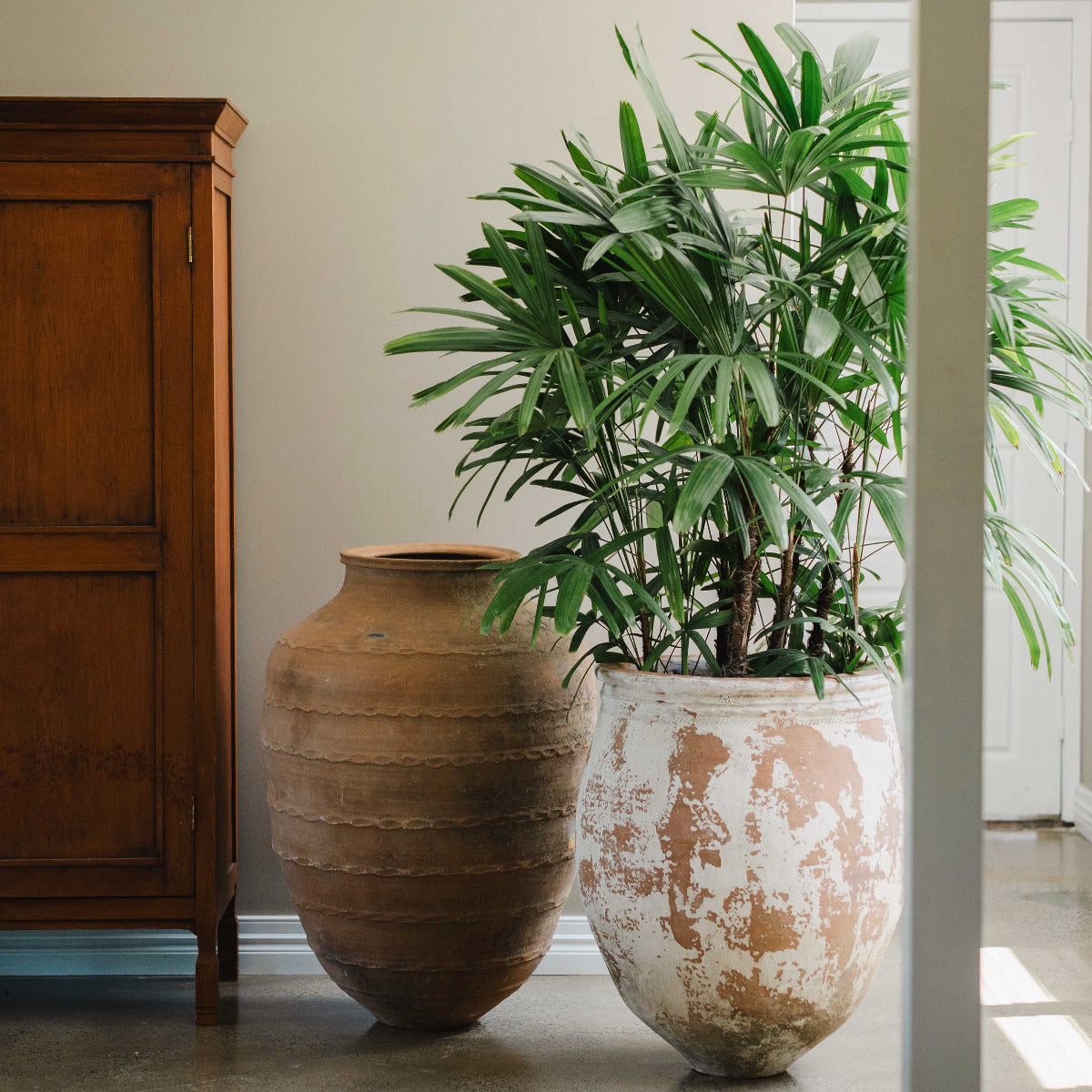 Large aged Turkish terracotta olive jar with weathered lime finish and warm natural patina.