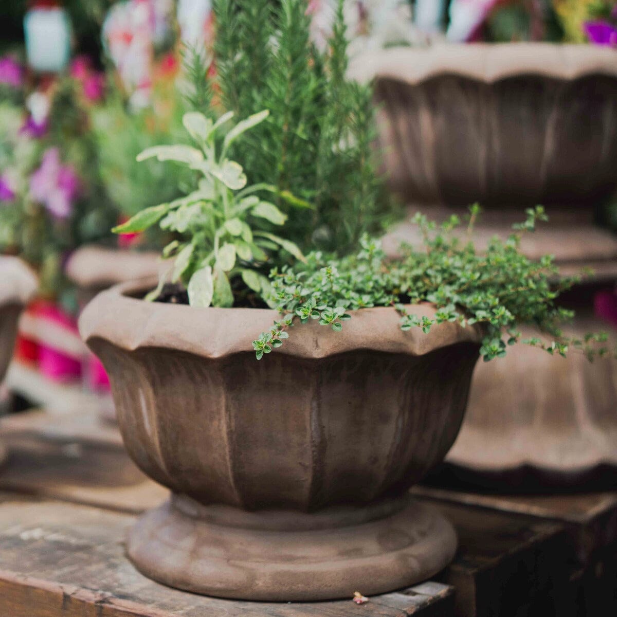 Antique Terra Montmarte Bowl Pots - Antique Terra Brookfield Gardens 