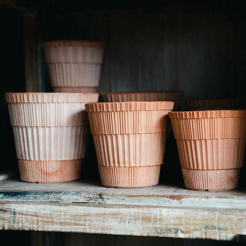 Atlas Rosa inc Saucer Pots - Berg Brookfield Gardens 