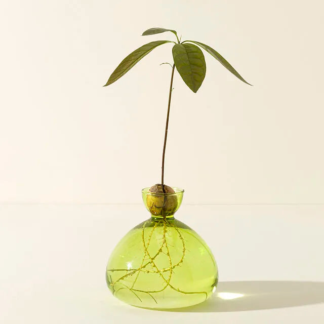 Avocado Vase Green