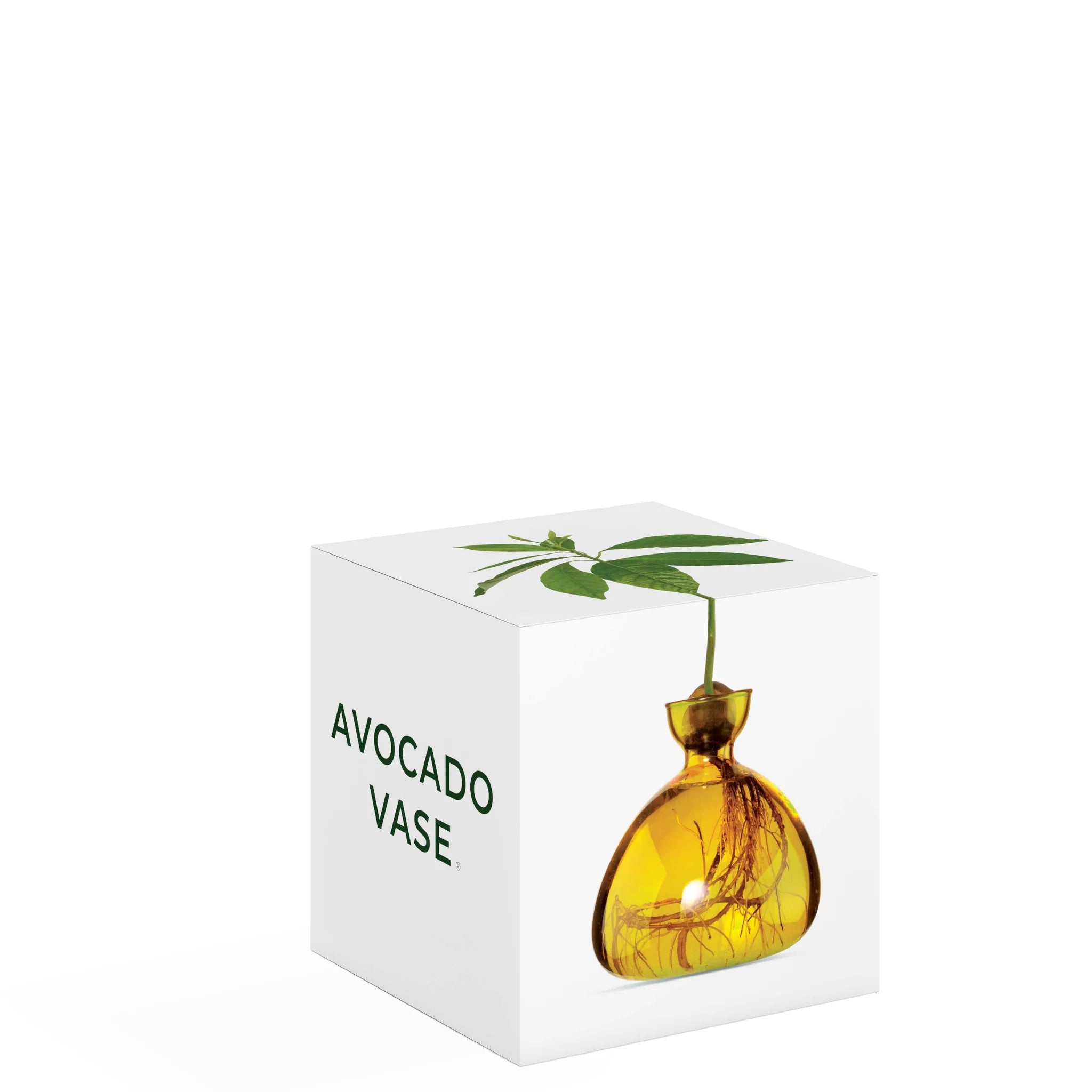 Avocado Vase Yellow