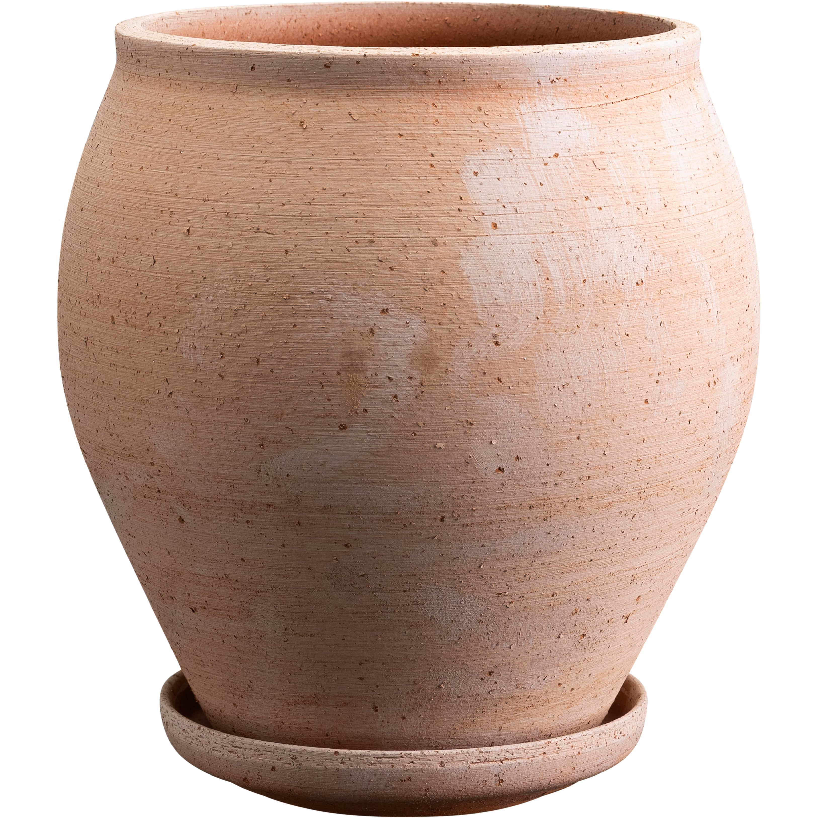 Delphi Rosa with Saucer