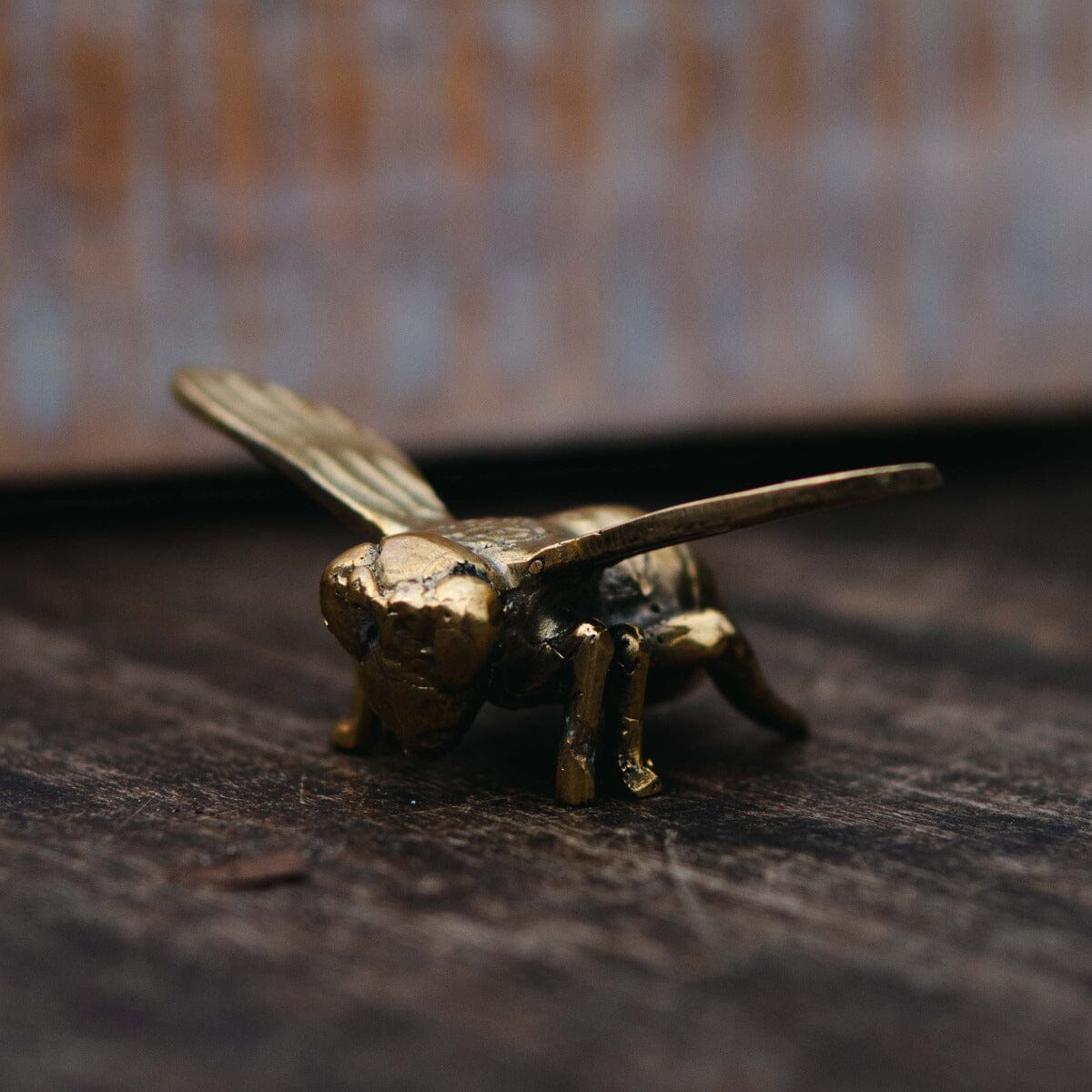 Brass Bee mini Gift - Ornaments Brookfield Gardens 