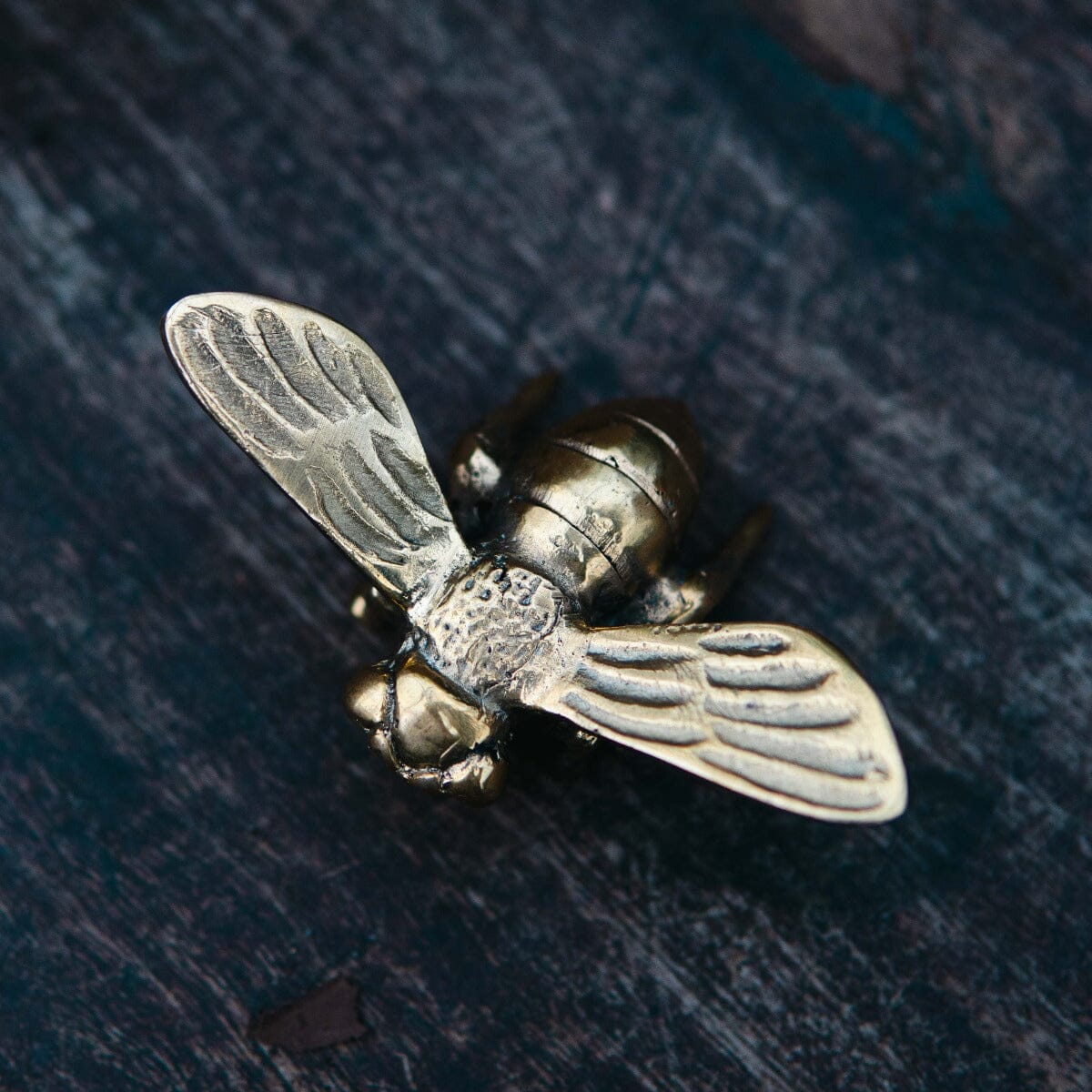 Brass Bee mini Gift - Ornaments Brookfield Gardens 