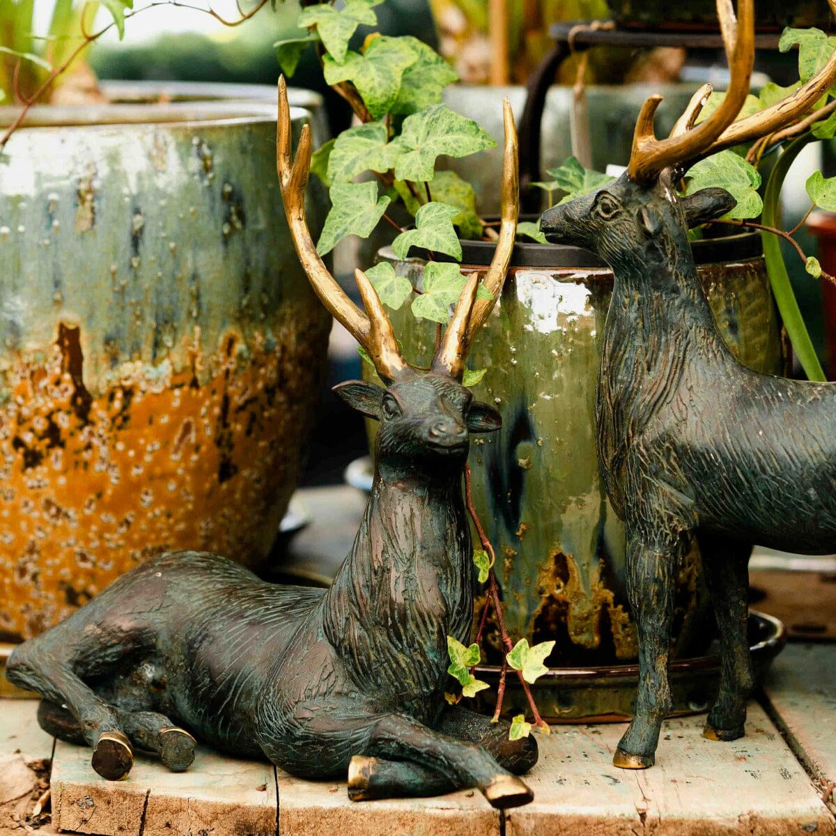 Brass Deer Sitting Gift - Ornaments Brookfield Gardens 