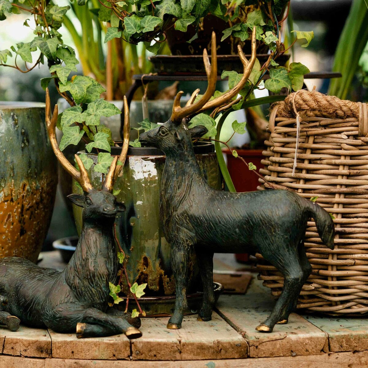 Brass Deer Standing Gift - Ornaments Brookfield Gardens 