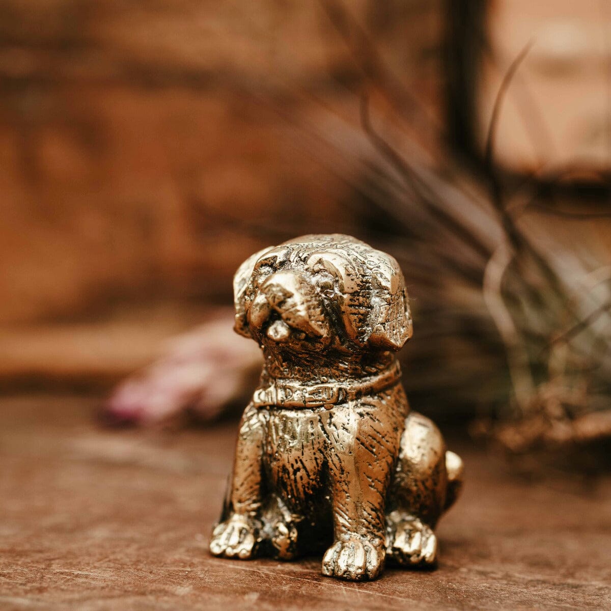 Brass Dog Sitting Gift - Ornaments Brookfield Gardens 