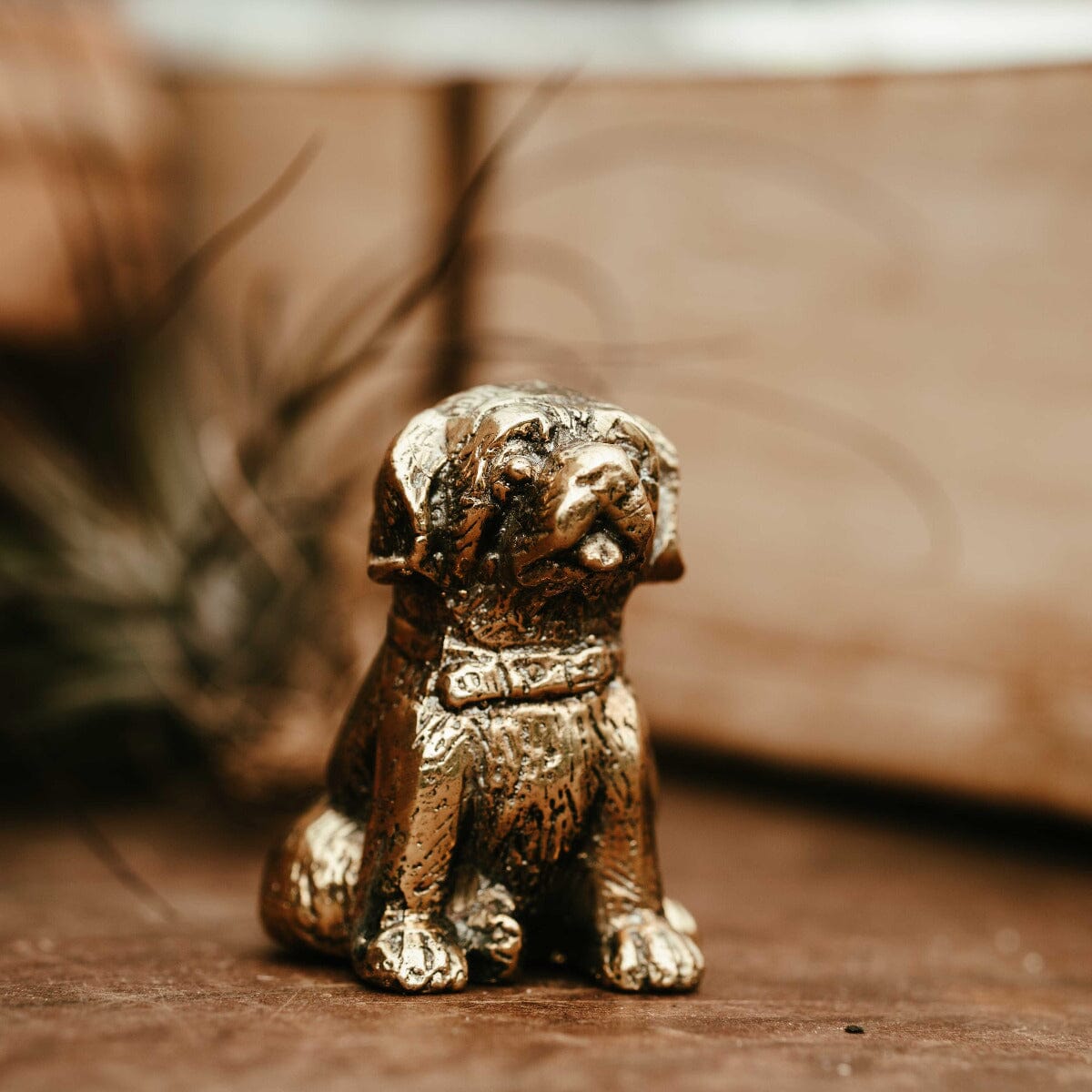 Brass Dog Sitting Gift - Ornaments Brookfield Gardens 