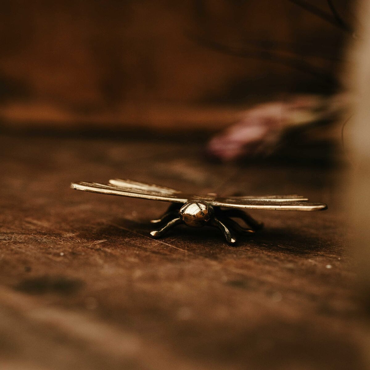 Brass Dragonfly Small Gift - Ornaments Brookfield Gardens 