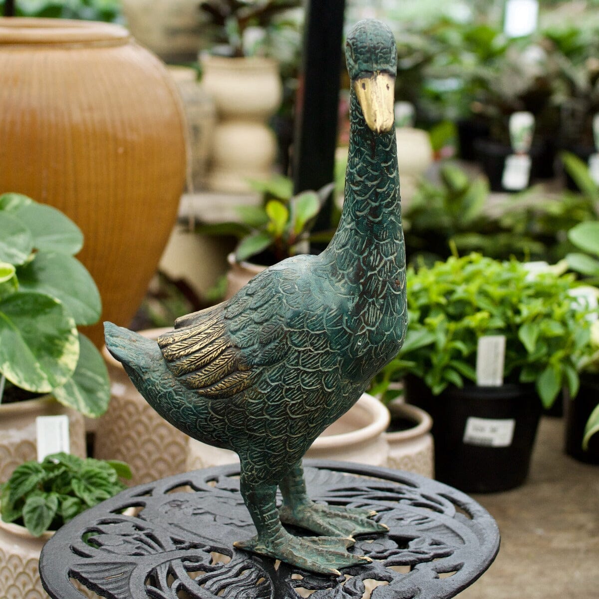 Brass Duck Tall - left Gift - Ornaments Brookfield Gardens 