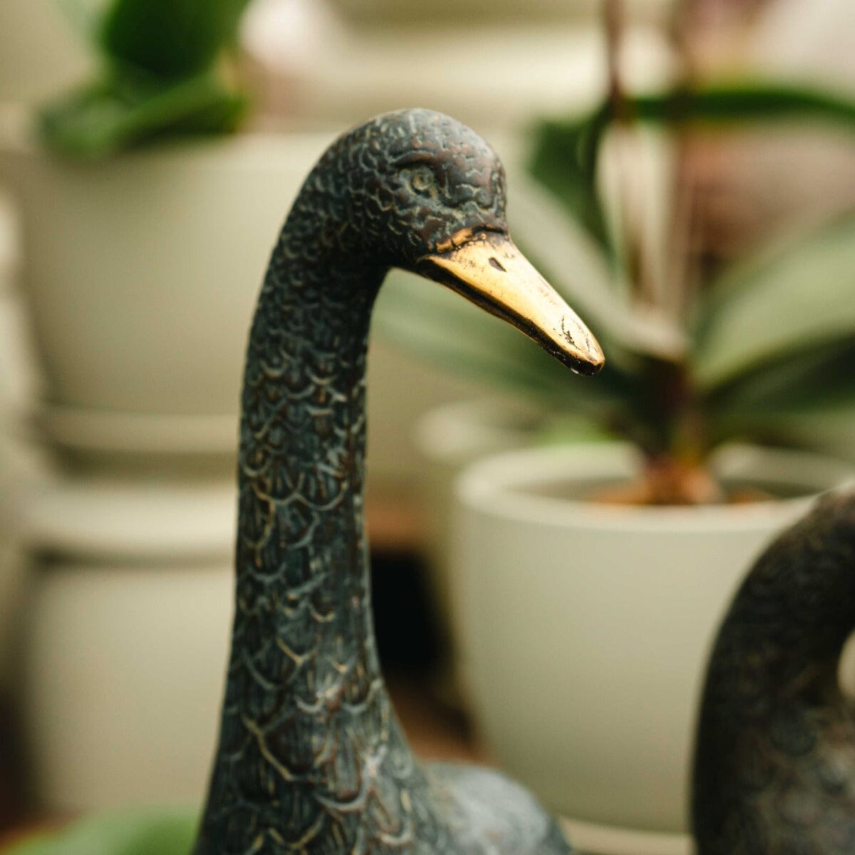 Brass Duck Tall - Right Gift - Ornaments Brookfield Gardens 