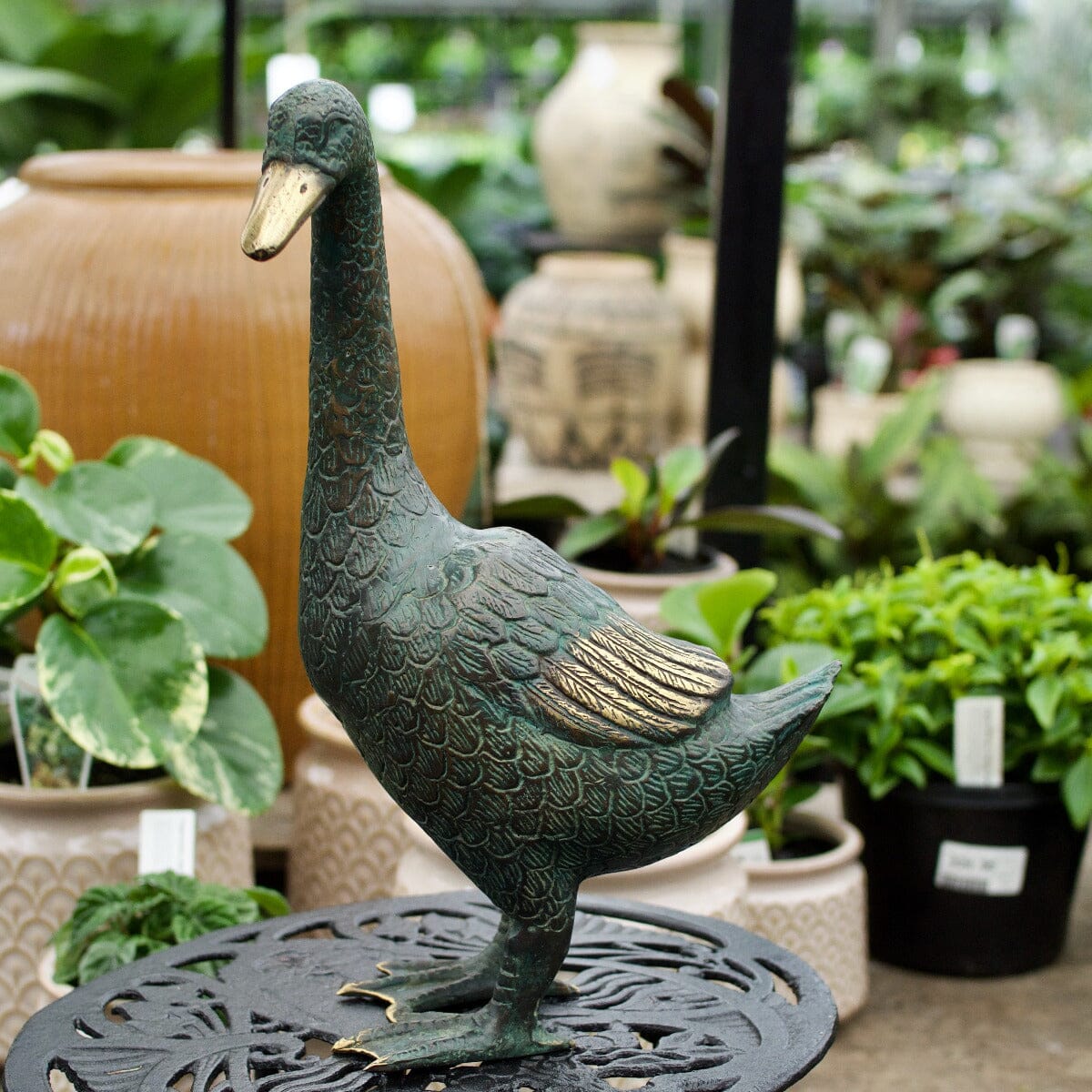 Brass Duck Tall - Right Gift - Ornaments Brookfield Gardens 