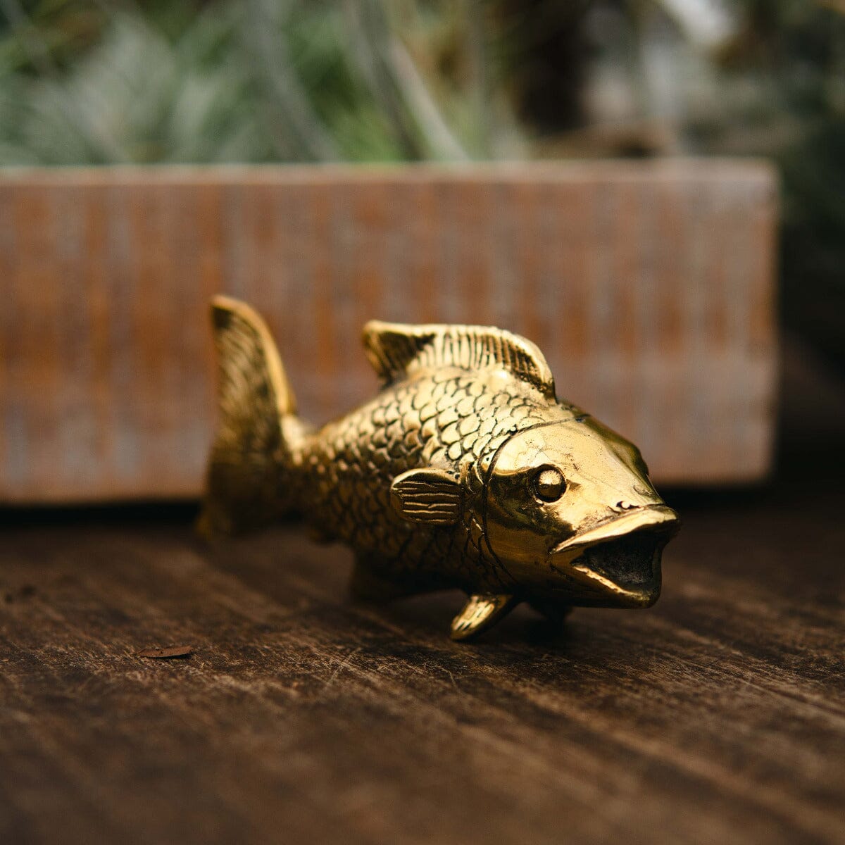 Brass Gold Fish Gift - Ornaments Brookfield Gardens 