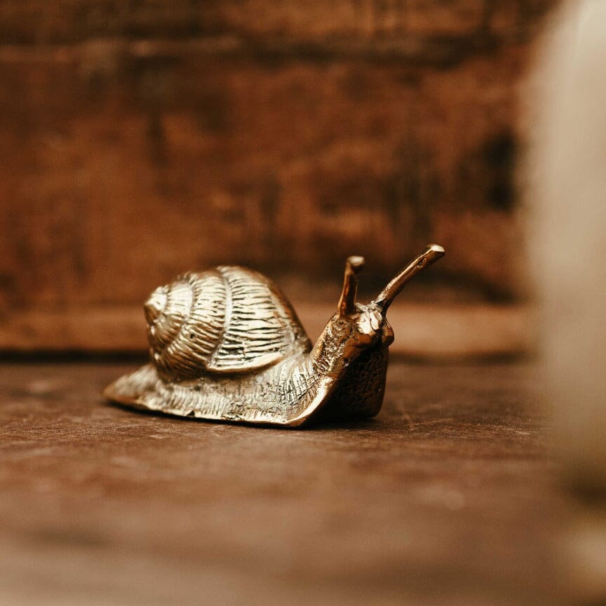 Brass Snail Mini Gift - Ornaments Brookfield Gardens 