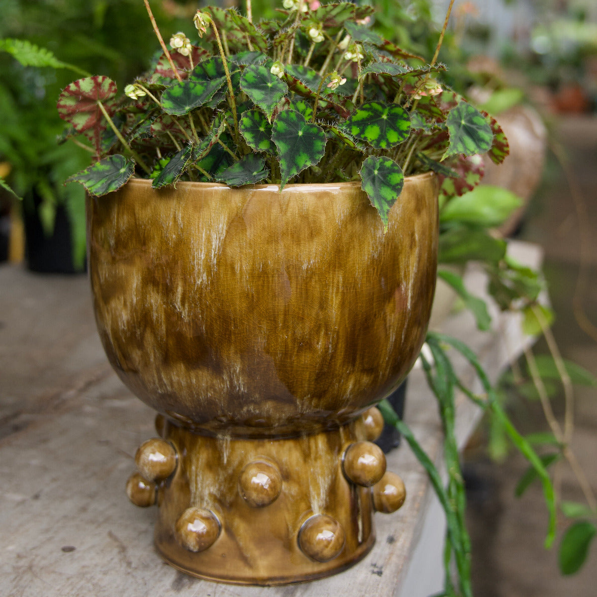 Pip Footed Pot