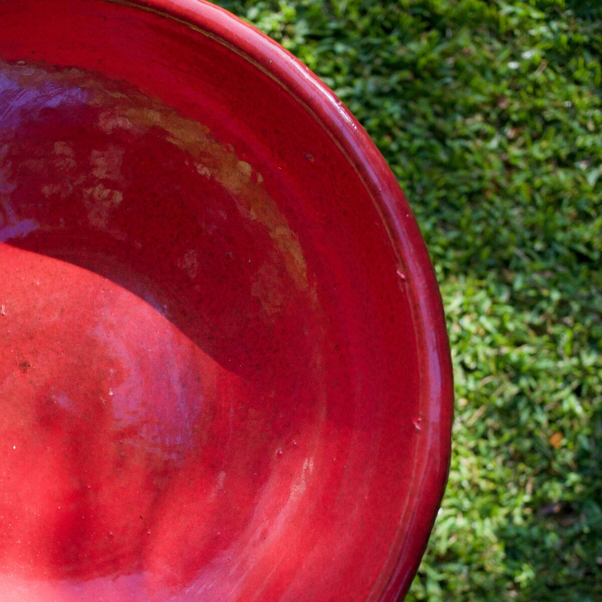 Classic Birdbath Statues / Water features / Bird Bath Brookfield Gardens 