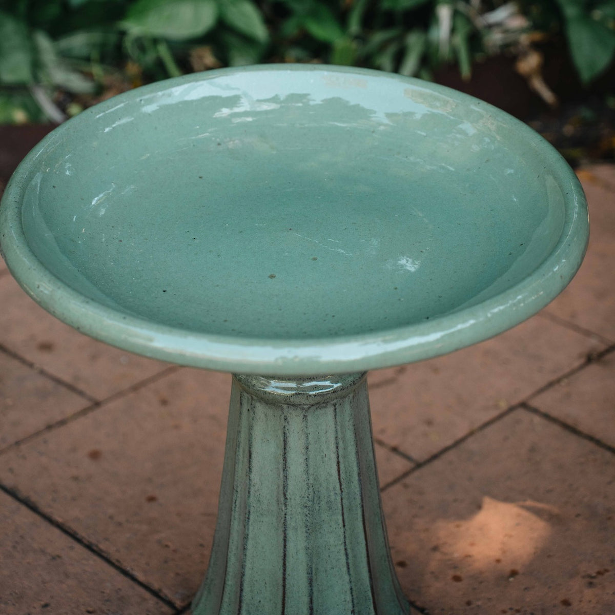 Corella Bird Bath in Pistachio with soft green glazed bowl and fluted pedestal, displayed in a leafy garden at Brookfield Gardens Brisbane.