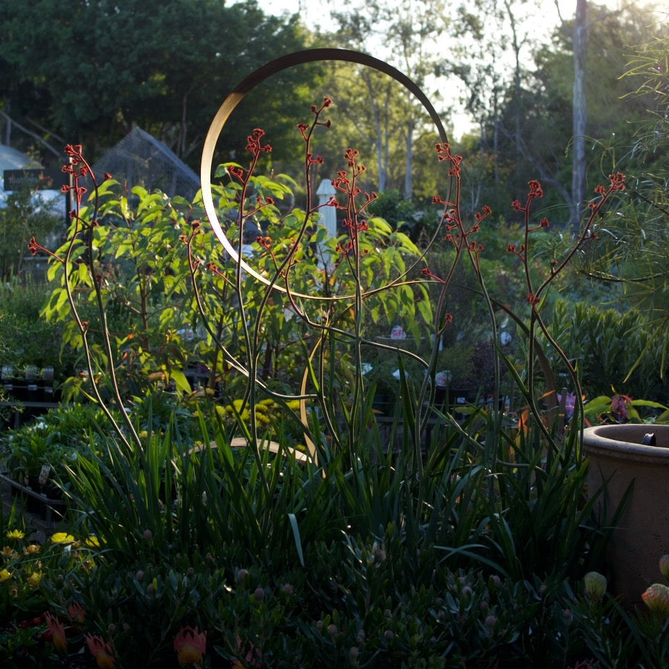 A rustic metal garden hoop sculpture in a lush, sunlit garden with green foliage and red flowers.