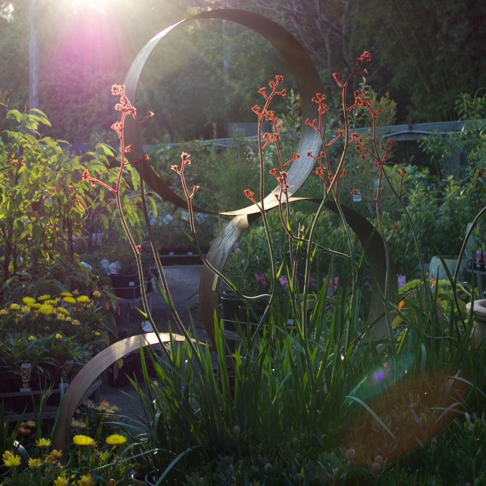 A garden scene with a large abstract metal sculpture in the foreground, surrounded by green plants and small orange flowers. Bright sunlight streams through the trees in the background, creating lens flare.