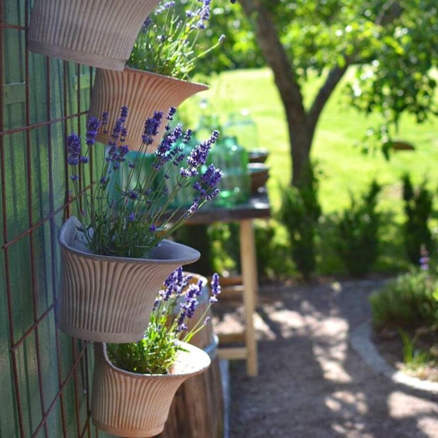 Daisy Grey Wall Pot Pots - Berg Brookfield Gardens 